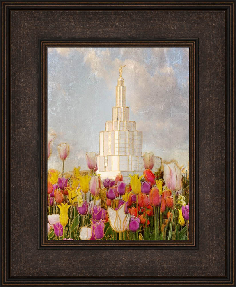 Idaho Falls Temple - Tulips by Mandy Jane Williams