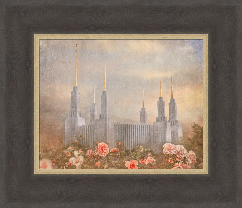 Washington DC Temple - American Rose by Mandy Jane Williams