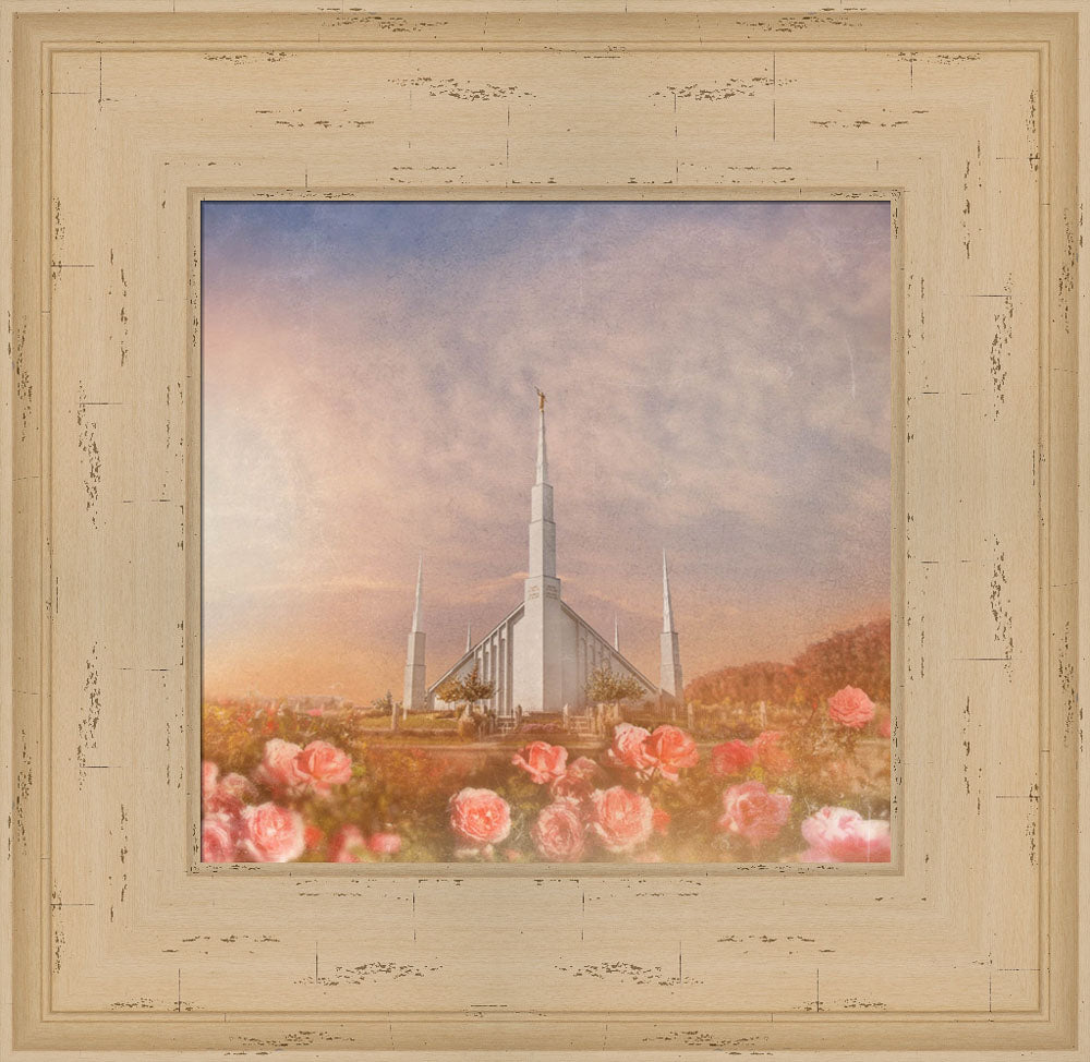 Boise Temple - Roses by Mandy Jane Williams