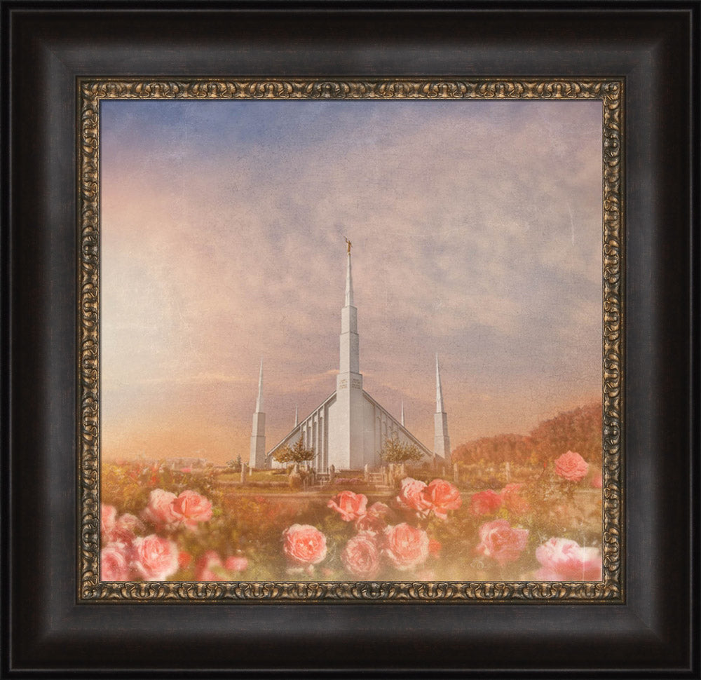 Boise Temple - Roses by Mandy Jane Williams