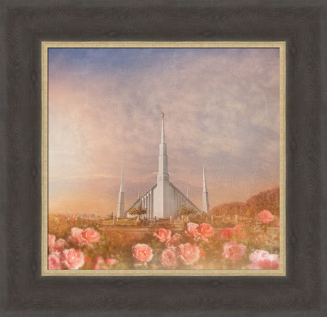 Boise Temple - Roses by Mandy Jane Williams