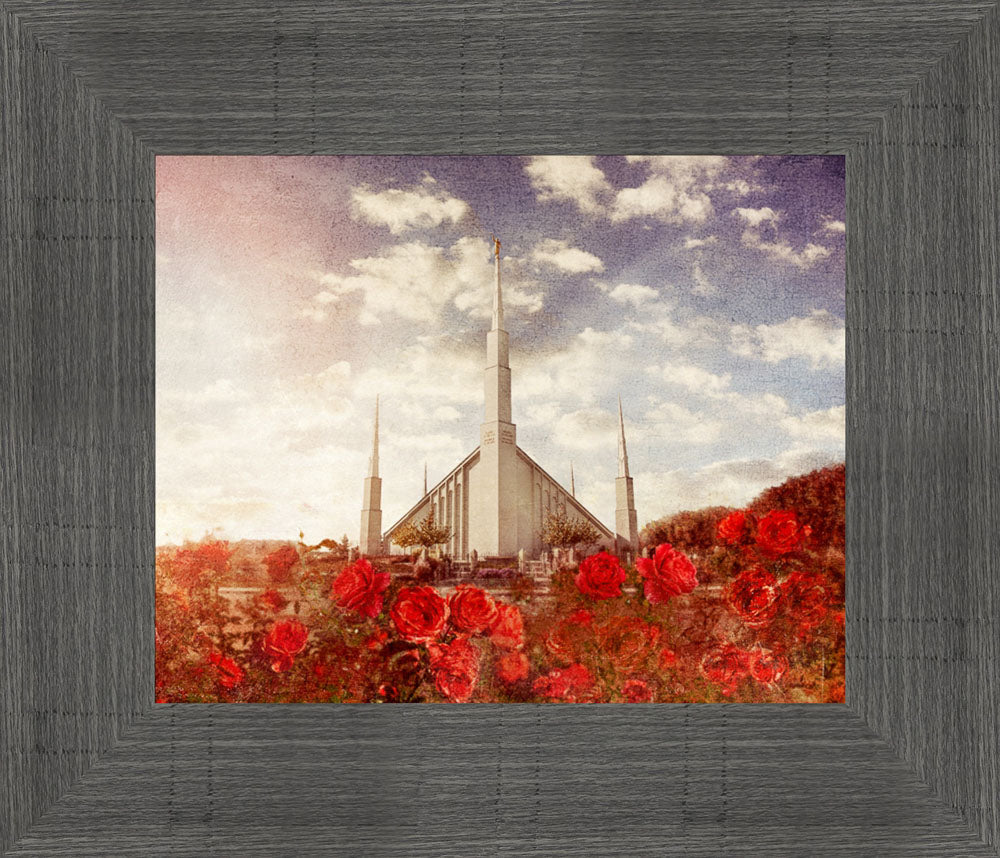 Boise Temple - Red Roses by Mandy Jane Williams