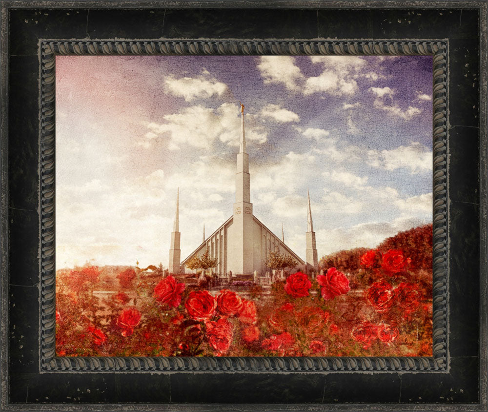 Boise Temple - Red Roses by Mandy Jane Williams