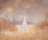 Mount Timpanogos Temple - Stillness by Mandy Jane Williams