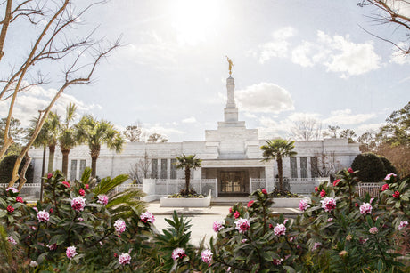 The Columbia South Carolina Temple on a sunny day with flowers.