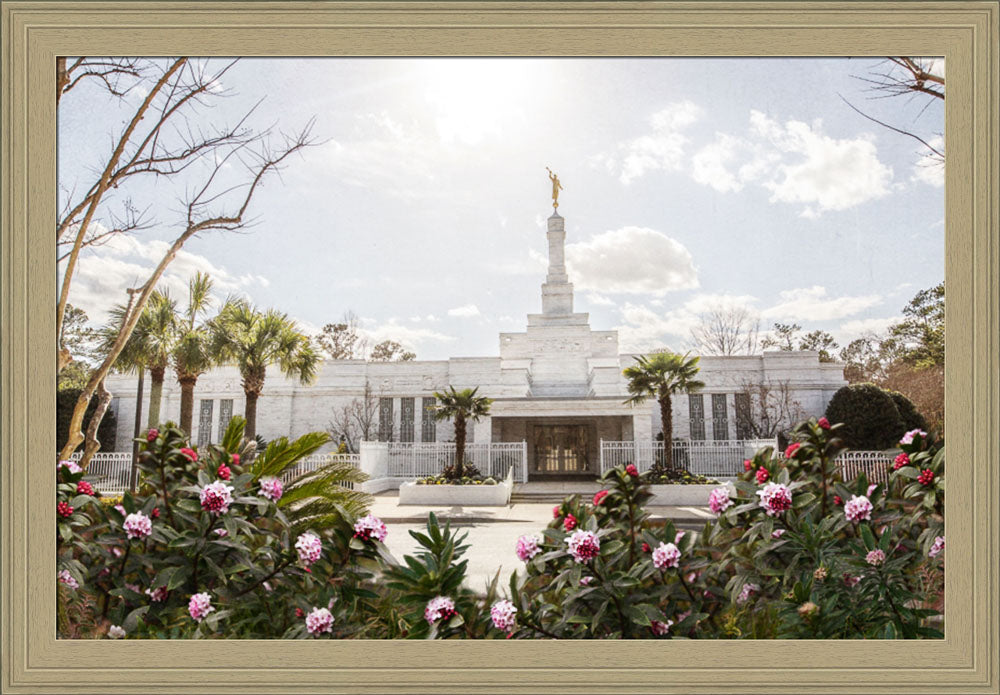 Columbia South Carolina Temple- Increased Faith