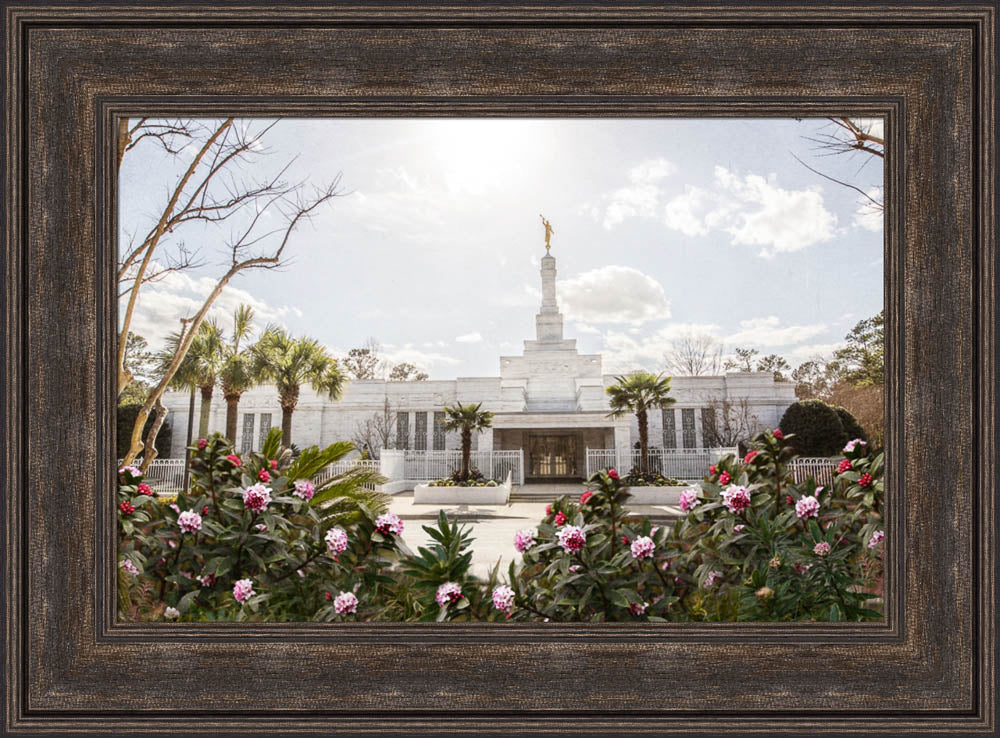 Columbia South Carolina Temple- Increased Faith