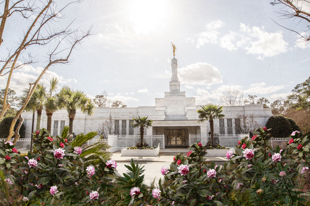 The Columbia South Carolina Temple on a sunny day with flowers.