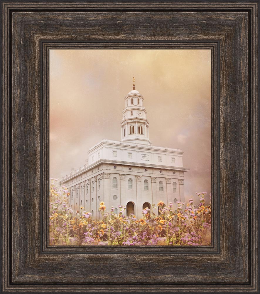 Nauvoo Temple - Vision by Mandy Jane Williams