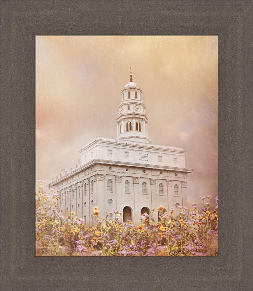Nauvoo Temple - Vision by Mandy Jane Williams