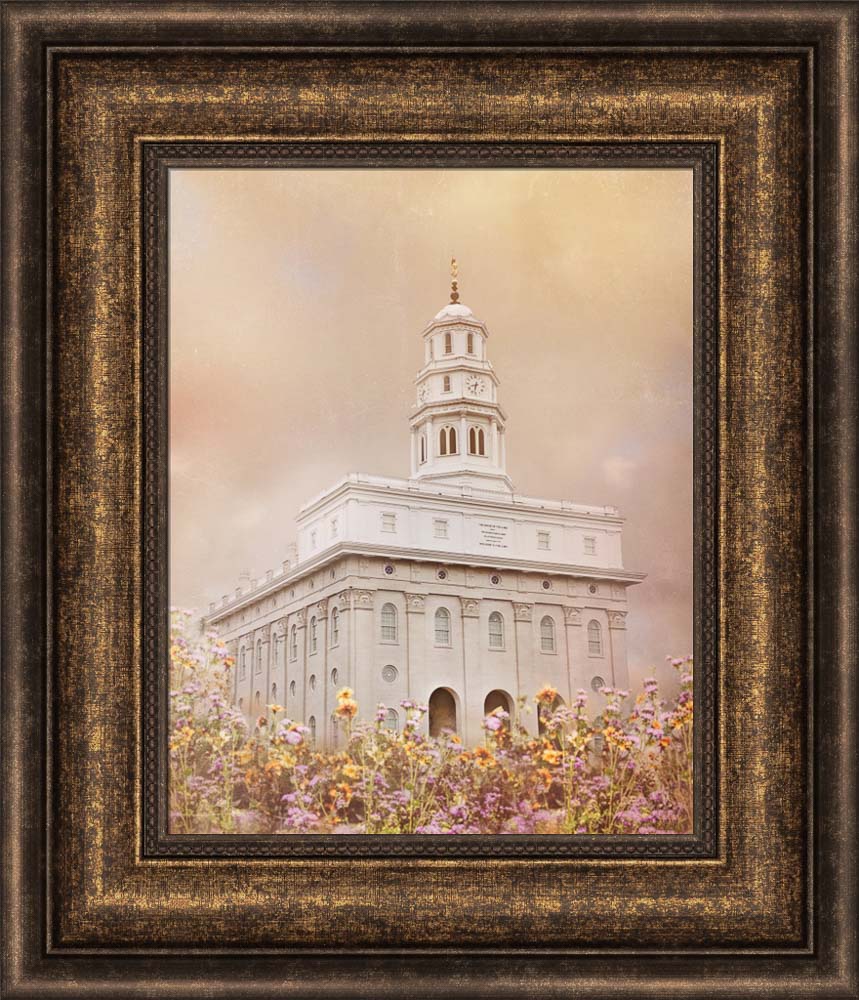 Nauvoo Temple - Vision by Mandy Jane Williams