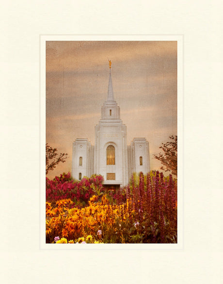 Brigham City Temple - Fall Flowers by Mandy Jane Williams