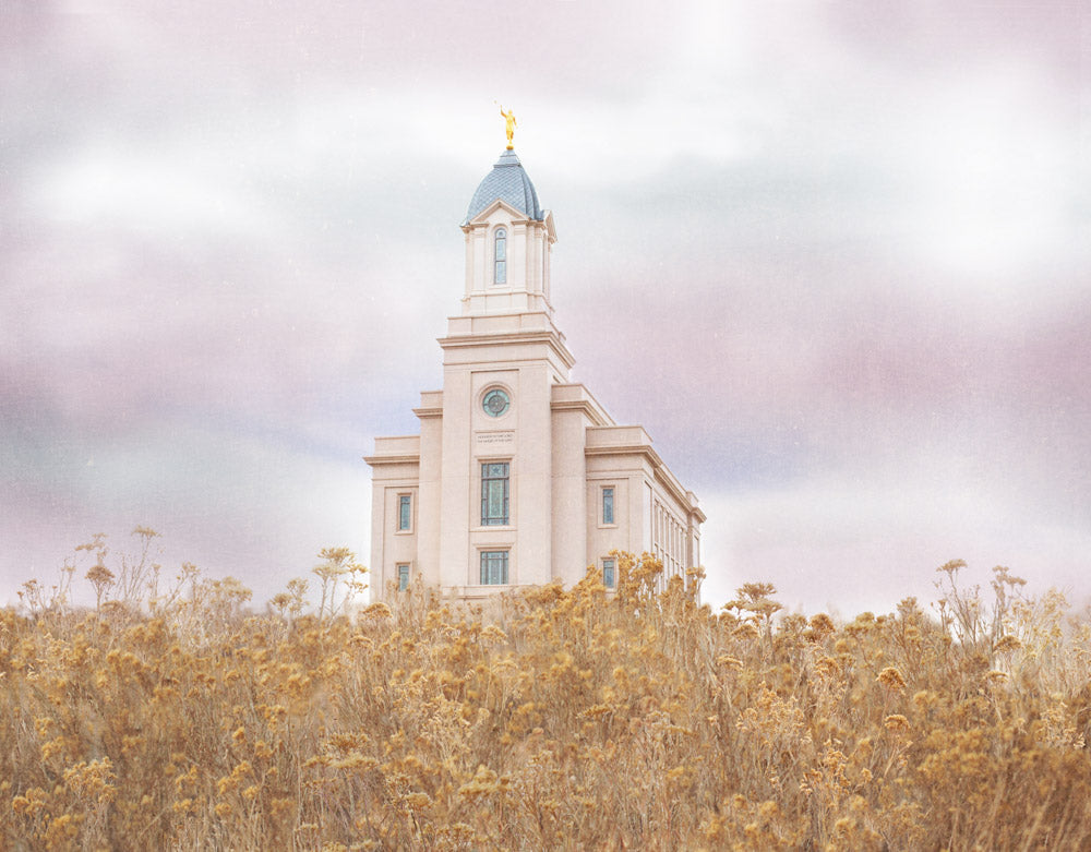 Cedar City Temple - Light On the Hill by Mandy Jane Williams