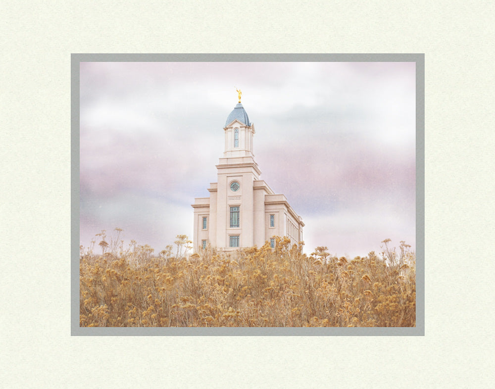 Cedar City Temple - Light On the Hill by Mandy Jane Williams