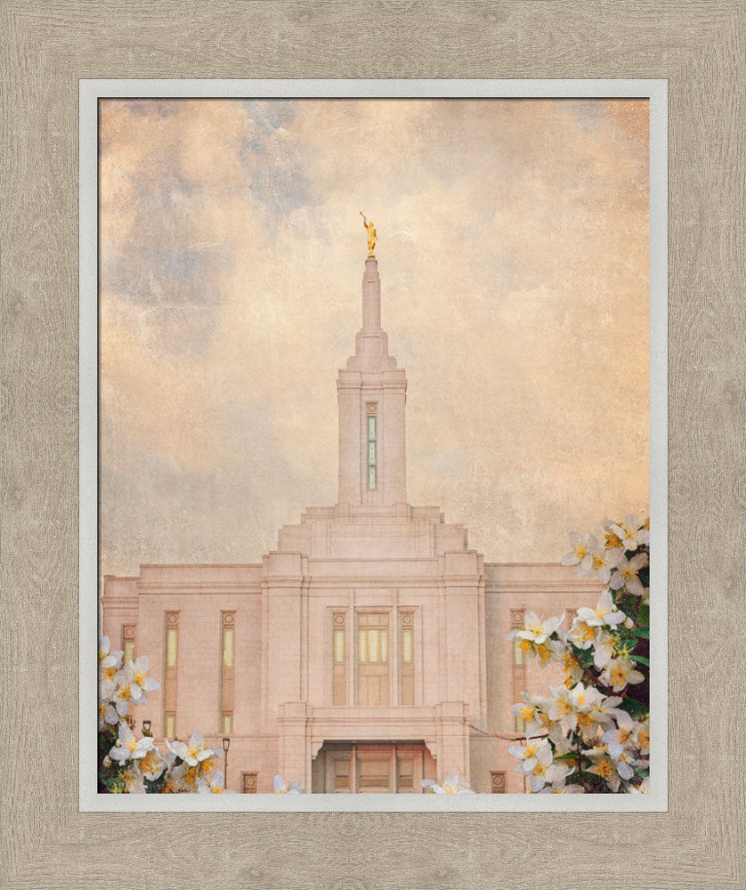 Pocatello Temple - Syringa Flowers by Mandy Jane Williams