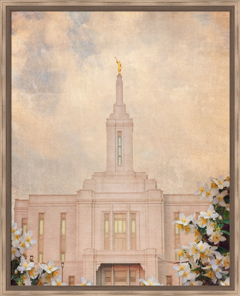 Pocatello Temple - Syringa Flowers by Mandy Jane Williams