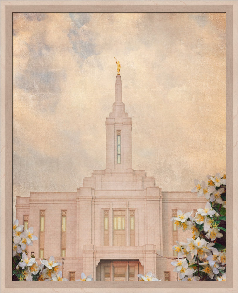 Pocatello Temple - Syringa Flowers by Mandy Jane Williams