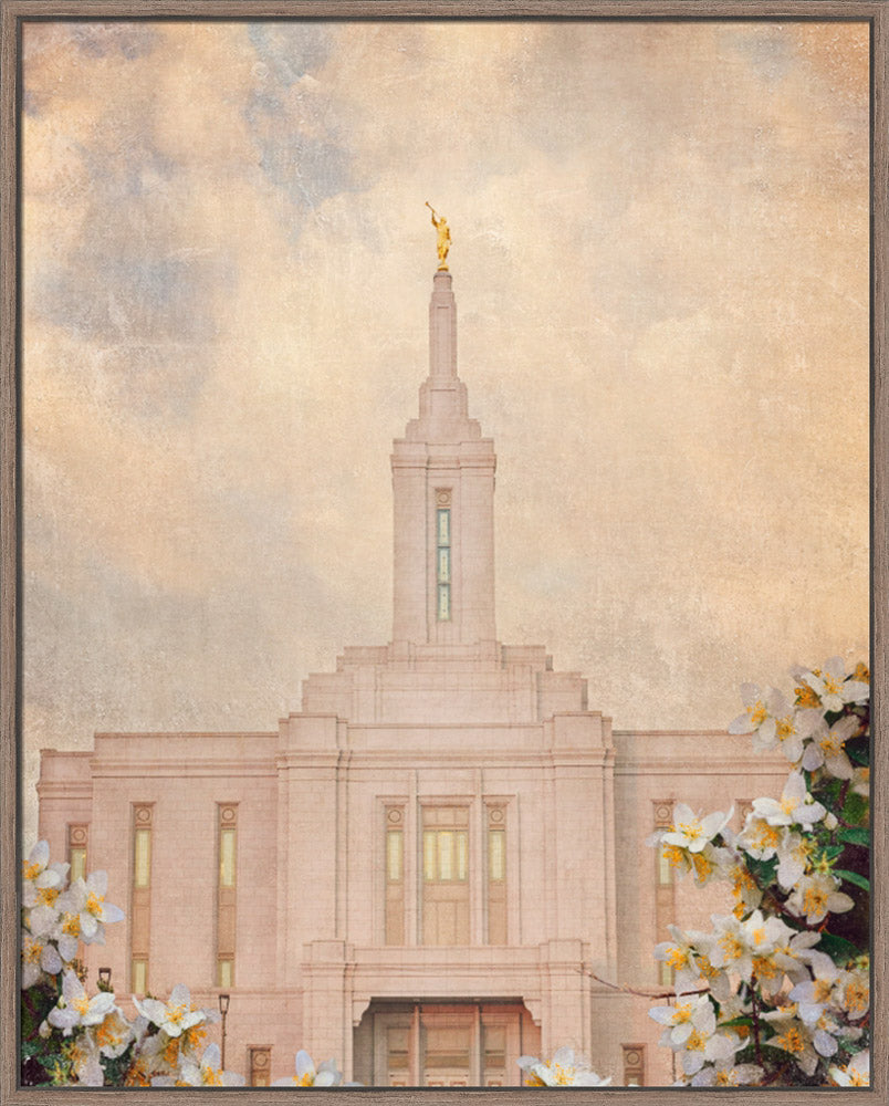 Pocatello Temple - Syringa Flowers by Mandy Jane Williams