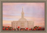 Pocatello Idaho - Indian Paintbrush by Mandy Jane Williams