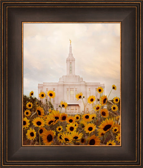 Pocatello Temple - Wild Sunflowers by Mandy Jane Williams