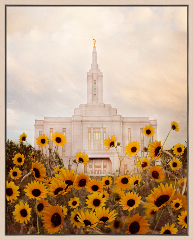 Pocatello Temple - Wild Sunflowers by Mandy Jane Williams