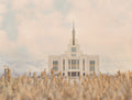 The Saratoga Springs Utah temple with a field of reed grass and mountain background.