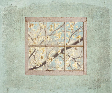 Window with branches of a blossoming apricot tree. 