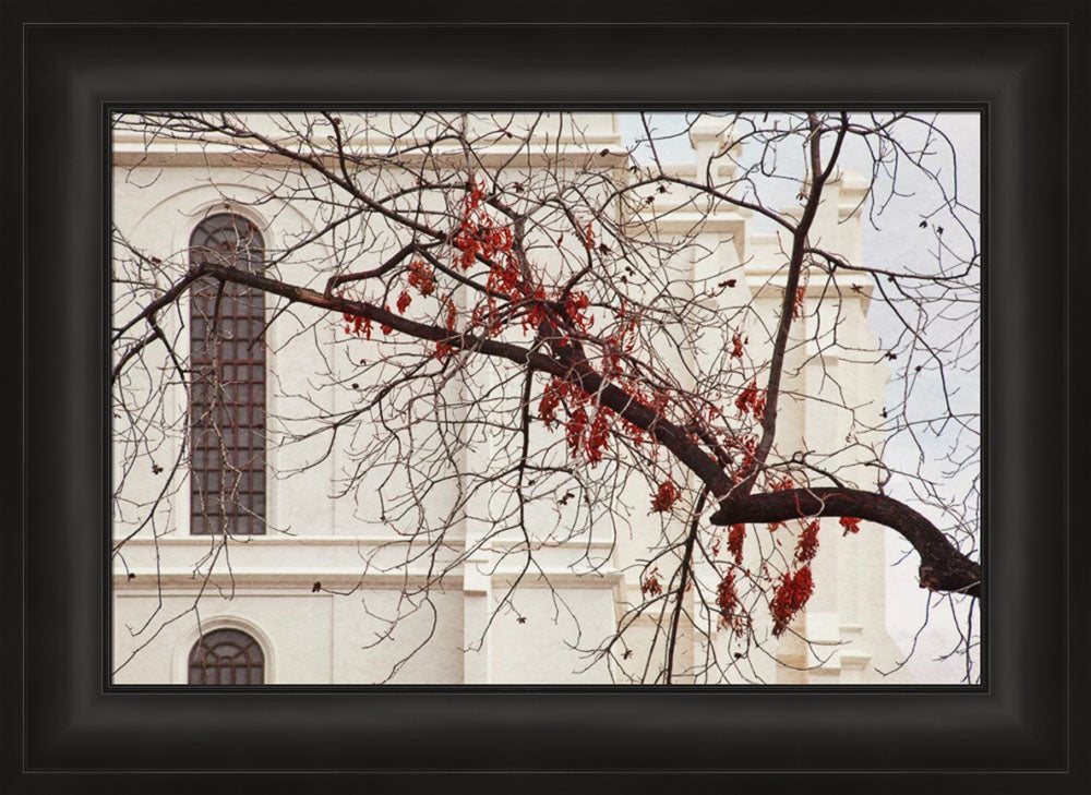 St George Temple - Red Leaves by Robert A Boyd