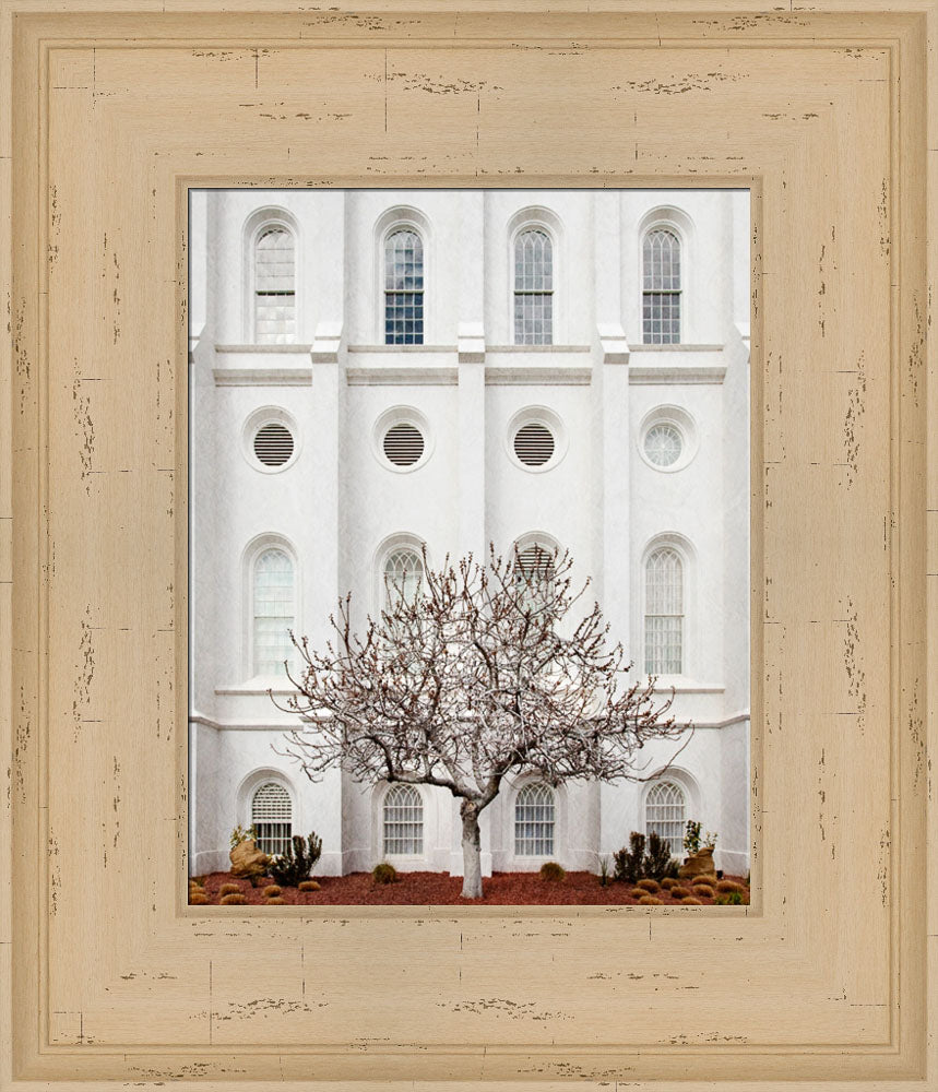 St George Temple - Arbor Alma by Robert A Boyd