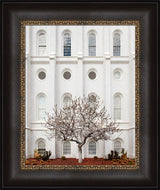 St George Temple - Arbor Alma by Robert A Boyd