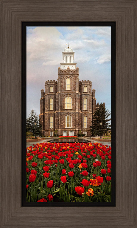 Logan Temple - Tulips by Robert A Boyd