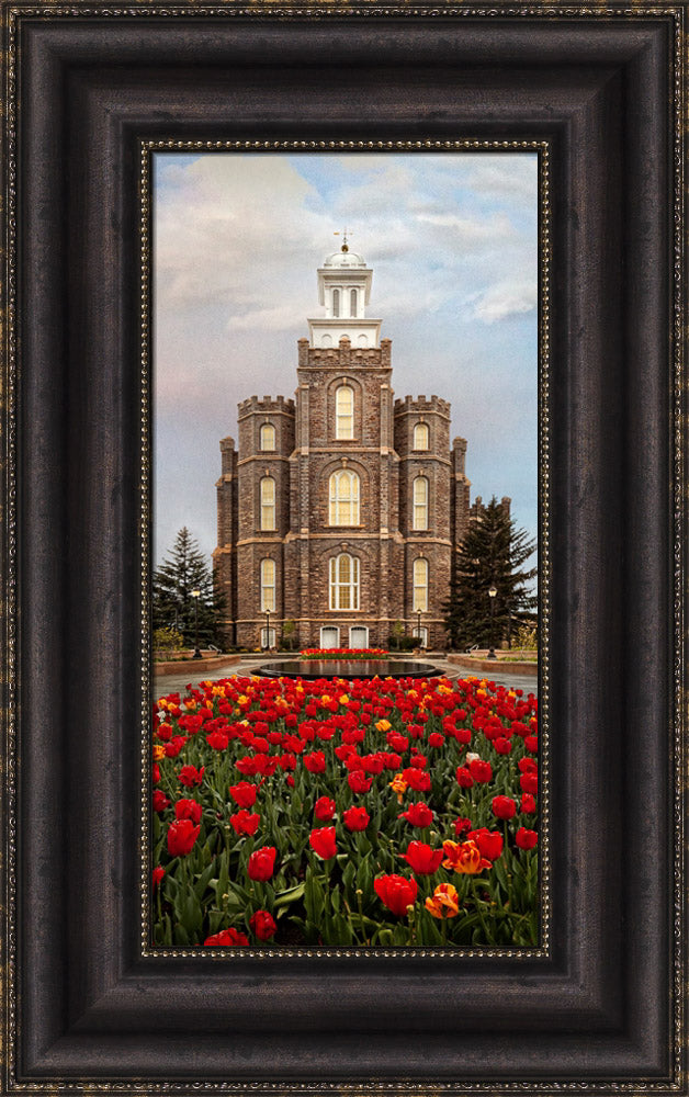 Logan Temple - Tulips by Robert A Boyd