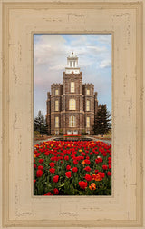 Logan Temple - Tulips by Robert A Boyd