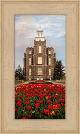 Logan Temple - Tulips by Robert A Boyd