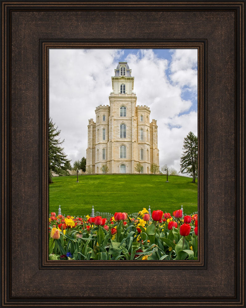 Manti Temple - Tulips and Grass by Robert A Boyd