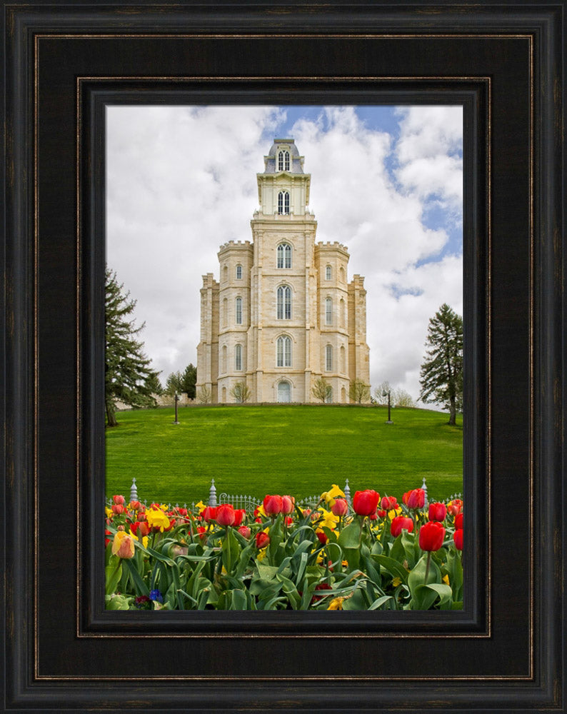 Manti Temple - Tulips and Grass by Robert A Boyd