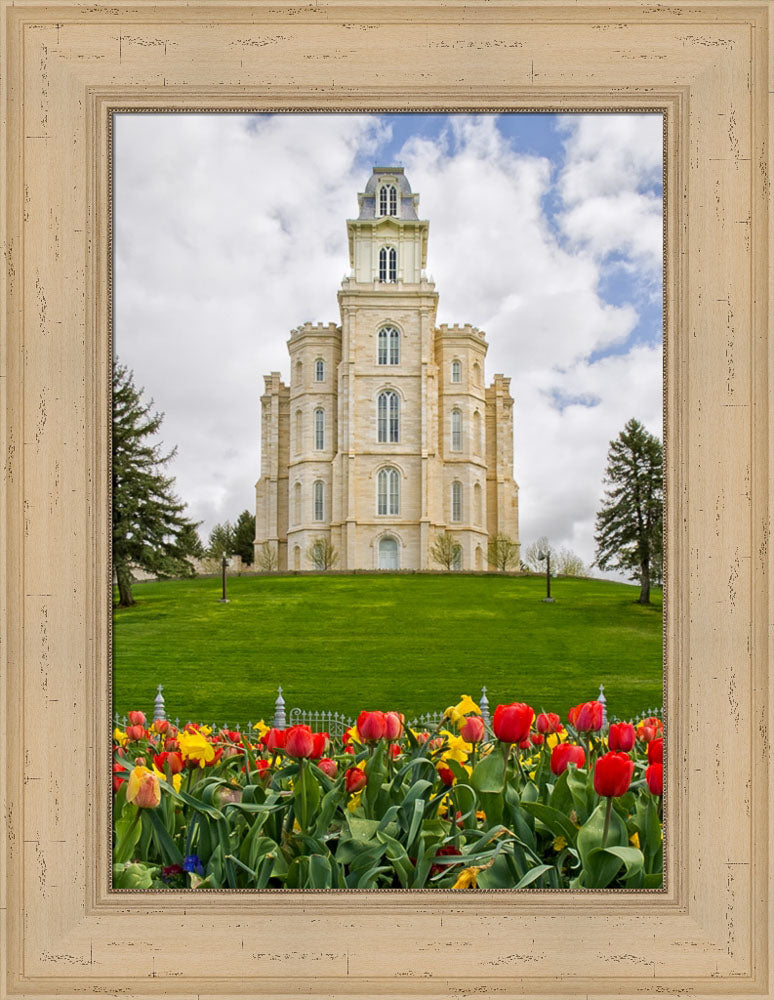 Manti Temple - Tulips and Grass by Robert A Boyd
