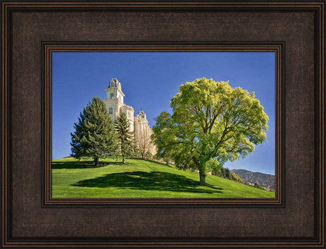 Manti Temple - Summer Tree by Robert A Boyd