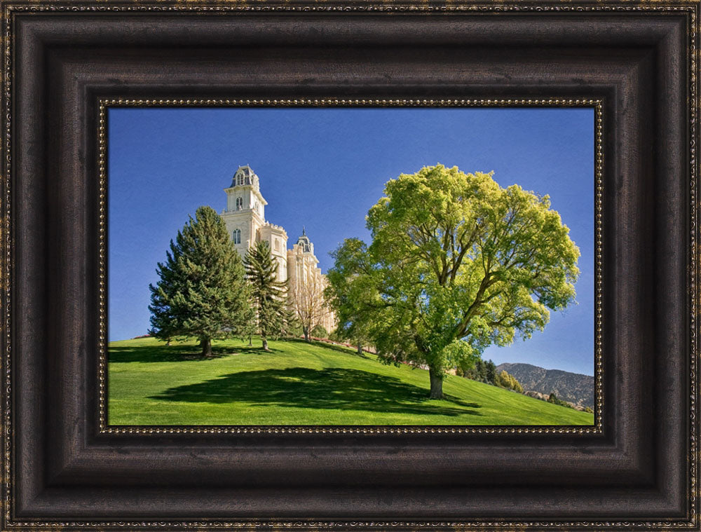 Manti Temple - Summer Tree by Robert A Boyd