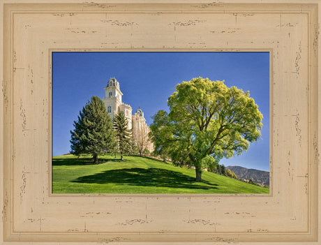 Manti Temple - Summer Tree by Robert A Boyd