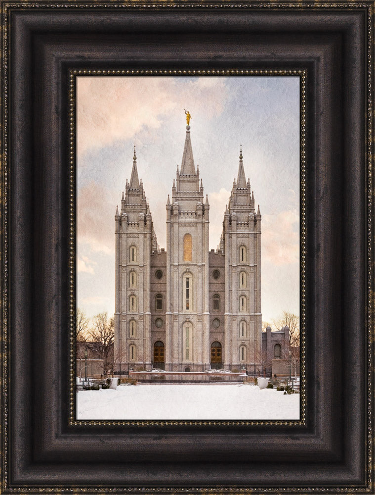 Salt Lake Temple - Textured Snow by Robert A Boyd