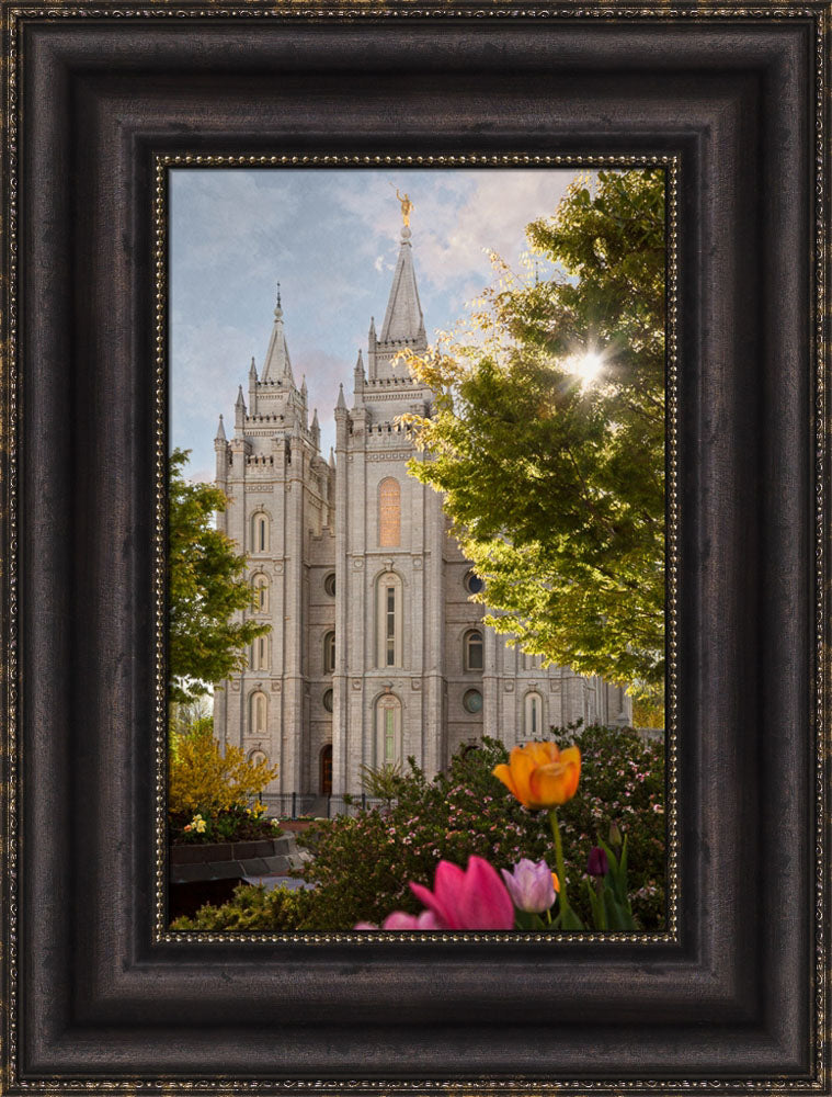 Salt Lake Temple - Springtime in Zion by Robert A Boyd