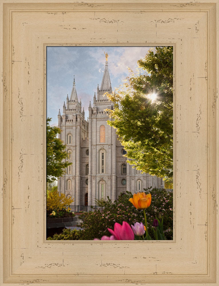 Salt Lake Temple - Springtime in Zion by Robert A Boyd