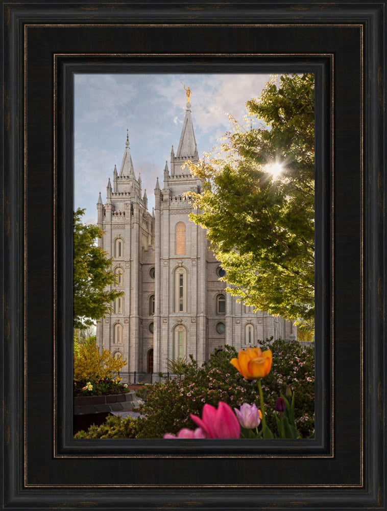 Salt Lake Temple - Springtime in Zion by Robert A Boyd