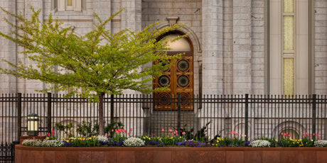 Sacred Doors