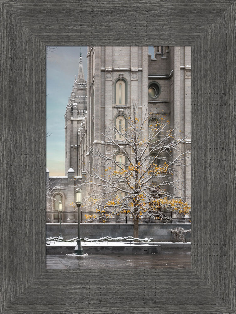 Salt Lake Temple - Tree of Life by Robert A Boyd