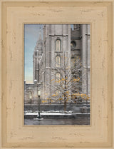 Salt Lake Temple - Tree of Life by Robert A Boyd