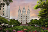 Salt Lake Temple - Holy Places Series by Robert A Boyd