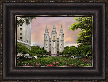 Salt Lake Temple - Holy Places Series by Robert A Boyd