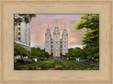 Salt Lake Temple - Holy Places Series by Robert A Boyd